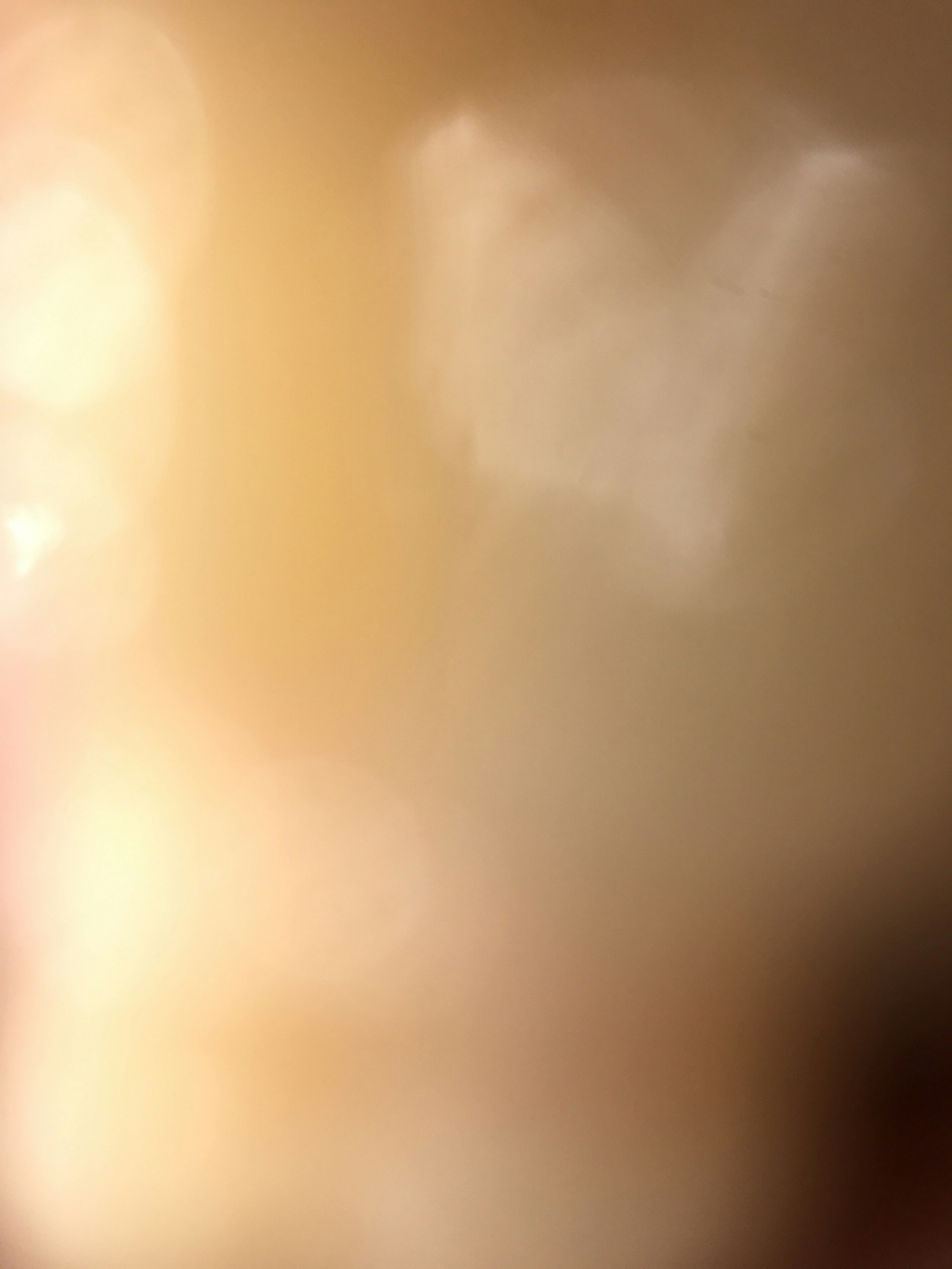 An intimate portrait with delicate details and warm, earthy tones.