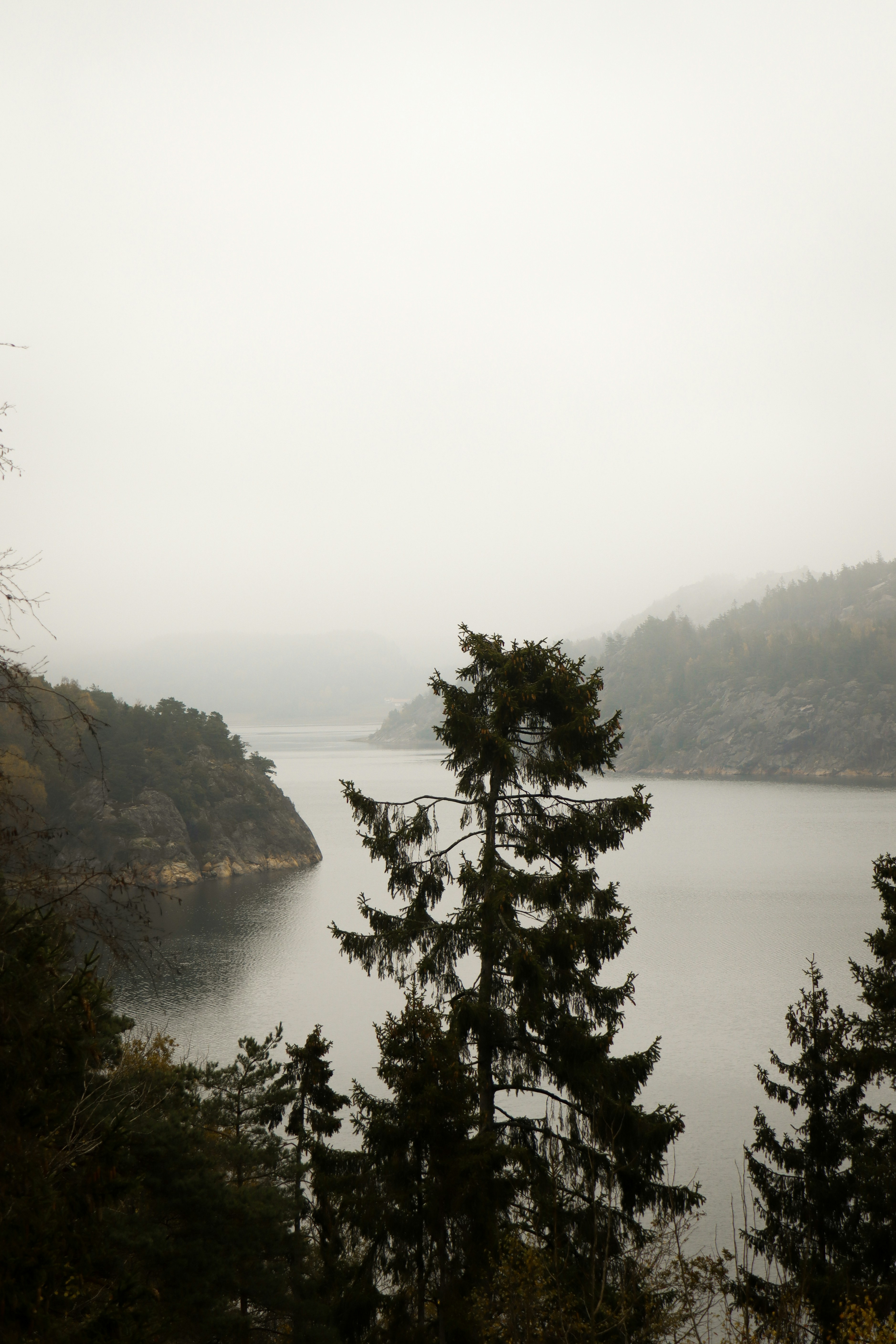 Photo by emblarynke