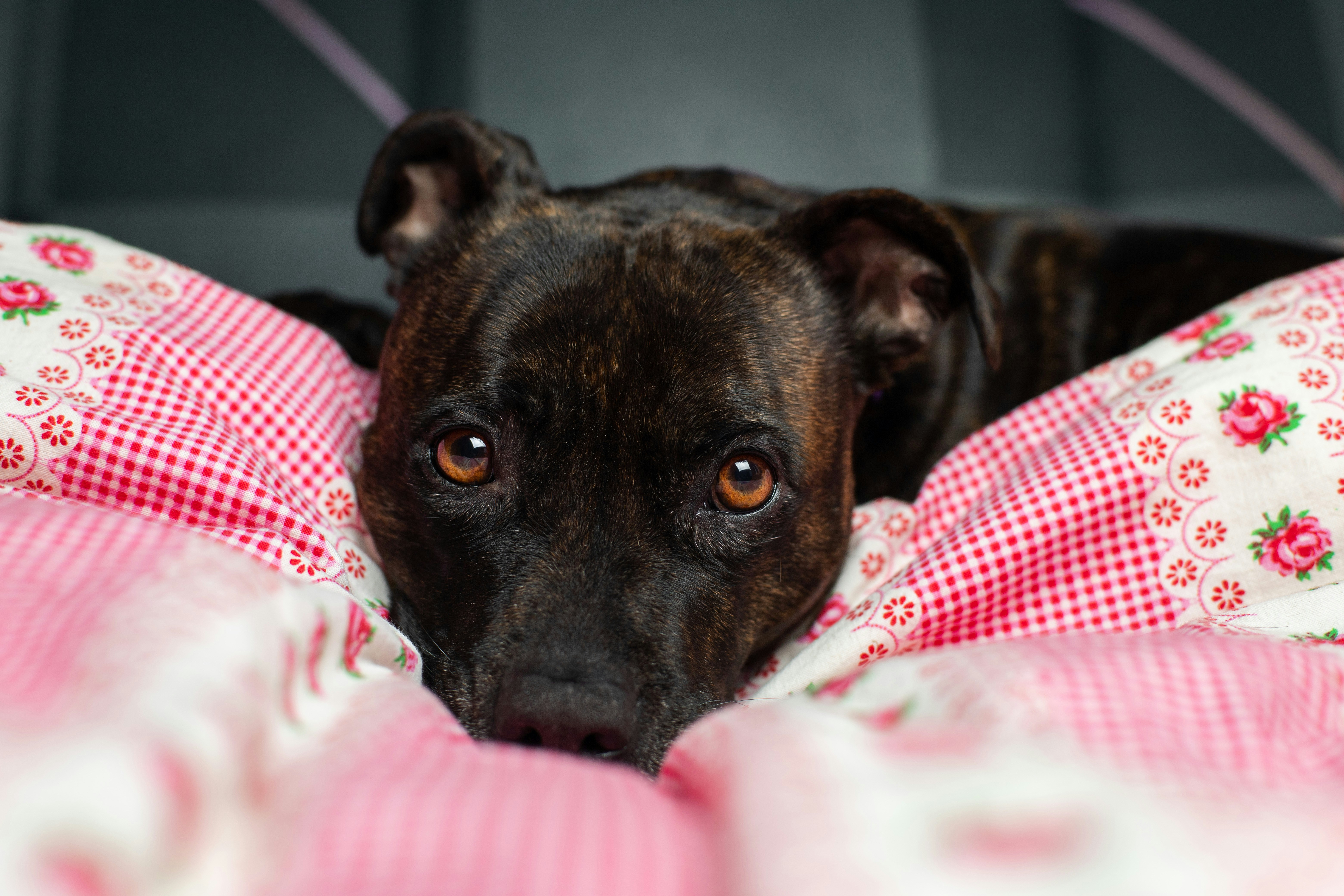 Photo by victor_vector