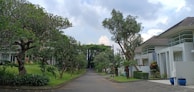 A sunny Sarasota street with well-maintained homes.