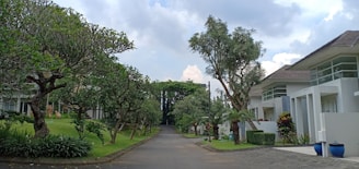 A peaceful residential street lined with modern white houses and lush greenery. Tall, well-maintained trees and manicured lawns create a serene atmosphere. The sky is partly cloudy with patches of blue, adding to the tranquil setting.