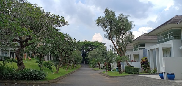 A peaceful residential street lined with modern white houses and lush greenery. Tall, well-maintained trees and manicured lawns create a serene atmosphere. The sky is partly cloudy with patches of blue, adding to the tranquil setting.