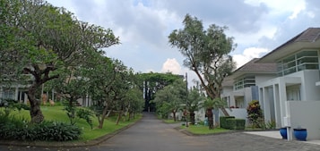 A peaceful residential street lined with modern white houses and lush greenery. Tall, well-maintained trees and manicured lawns create a serene atmosphere. The sky is partly cloudy with patches of blue, adding to the tranquil setting.