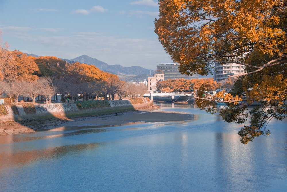 a body of water with a bridge in the background