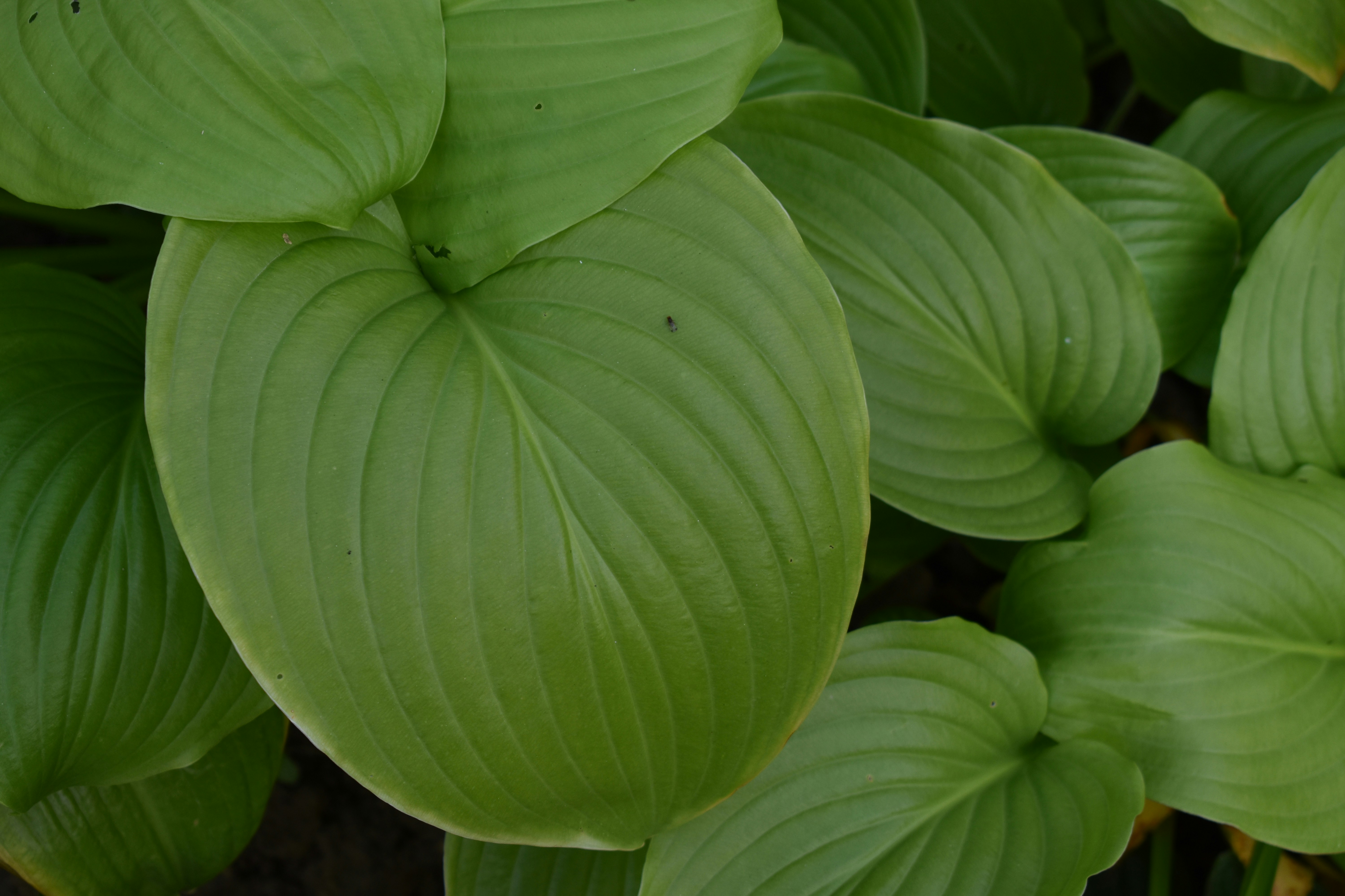 Photo by anastasijapuskas