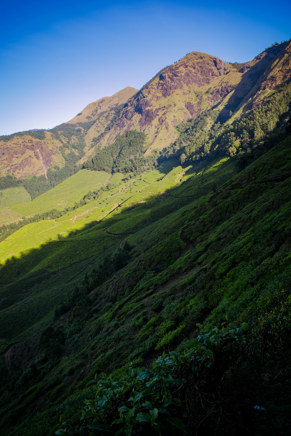 una vista di una valle con le montagne sullo sfondo