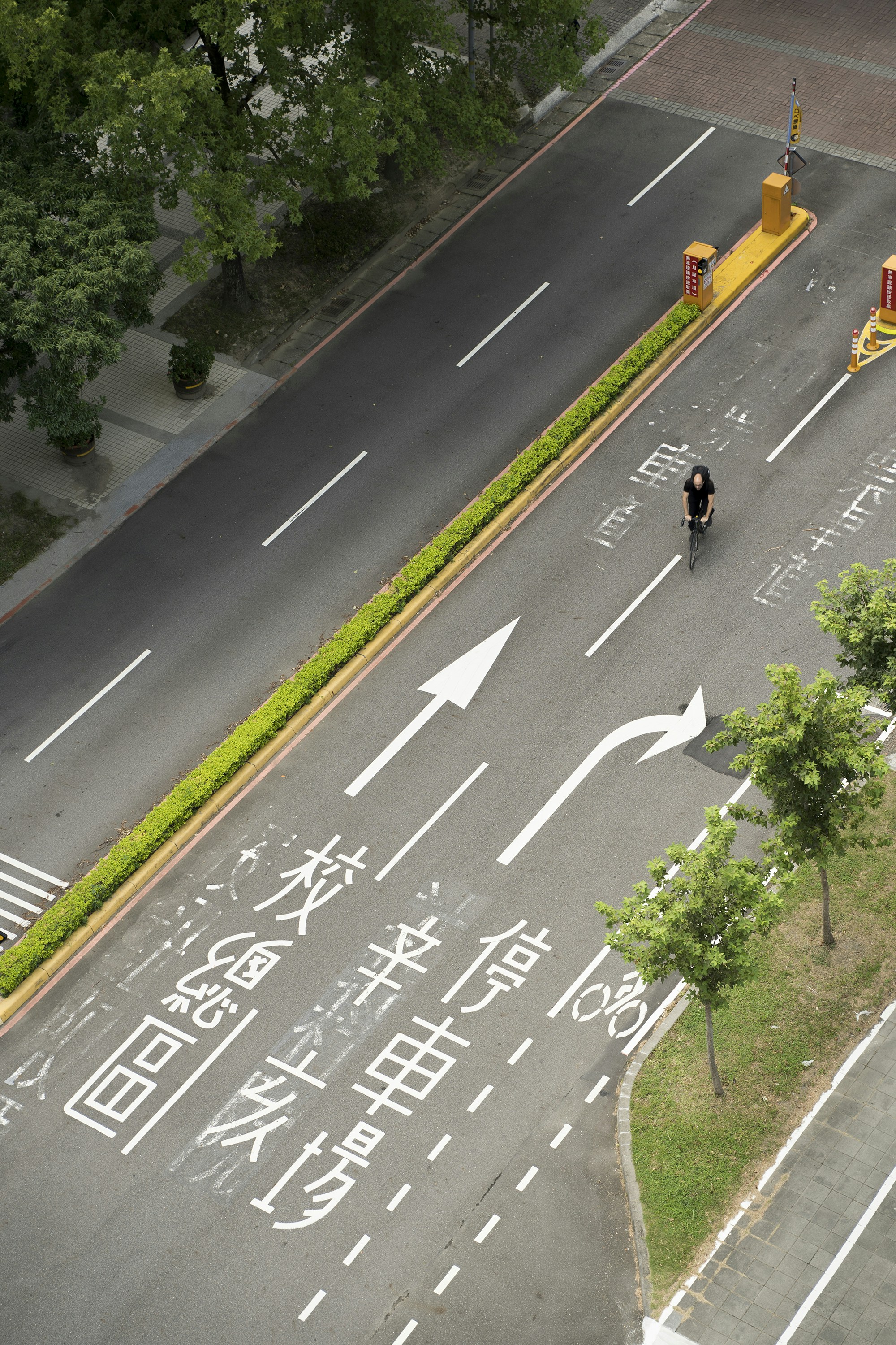 Photo by novemberwong