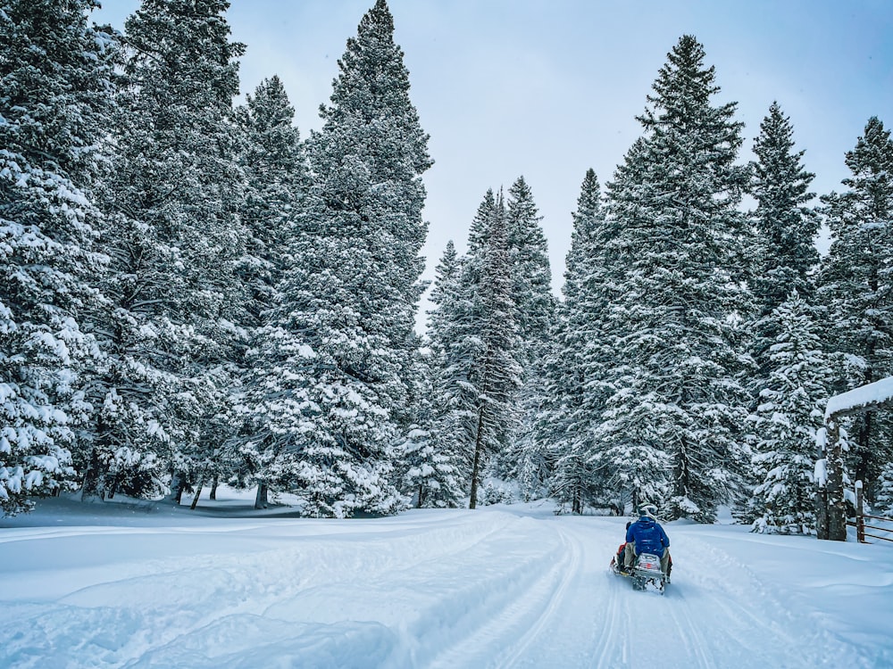 a person riding a sled down a snow covered road