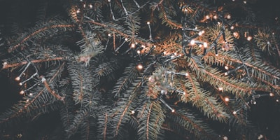 Close-up of twinkling lights woven through lush evergreen garlands on a rustic wooden porch.