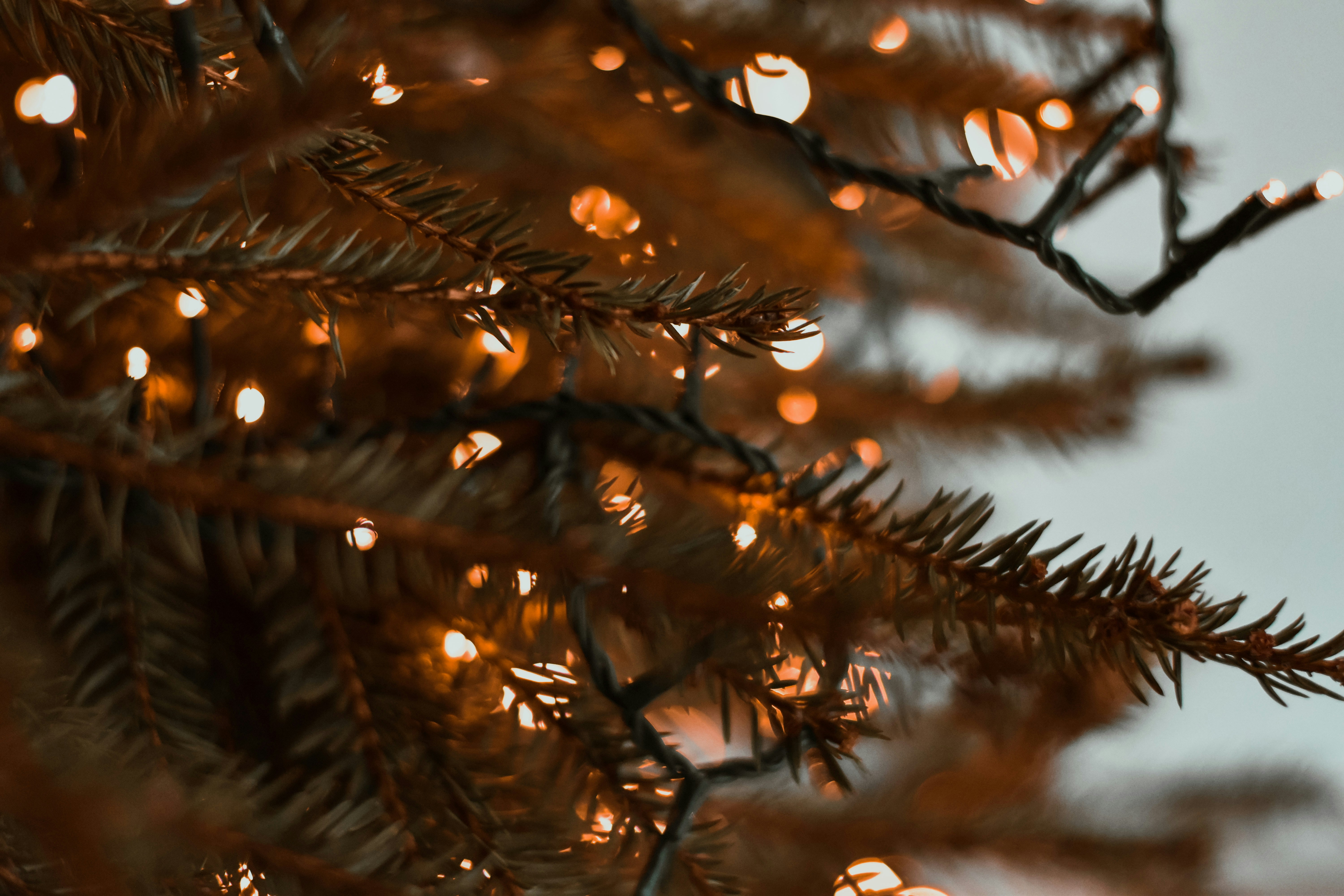 Photo by elliottmason