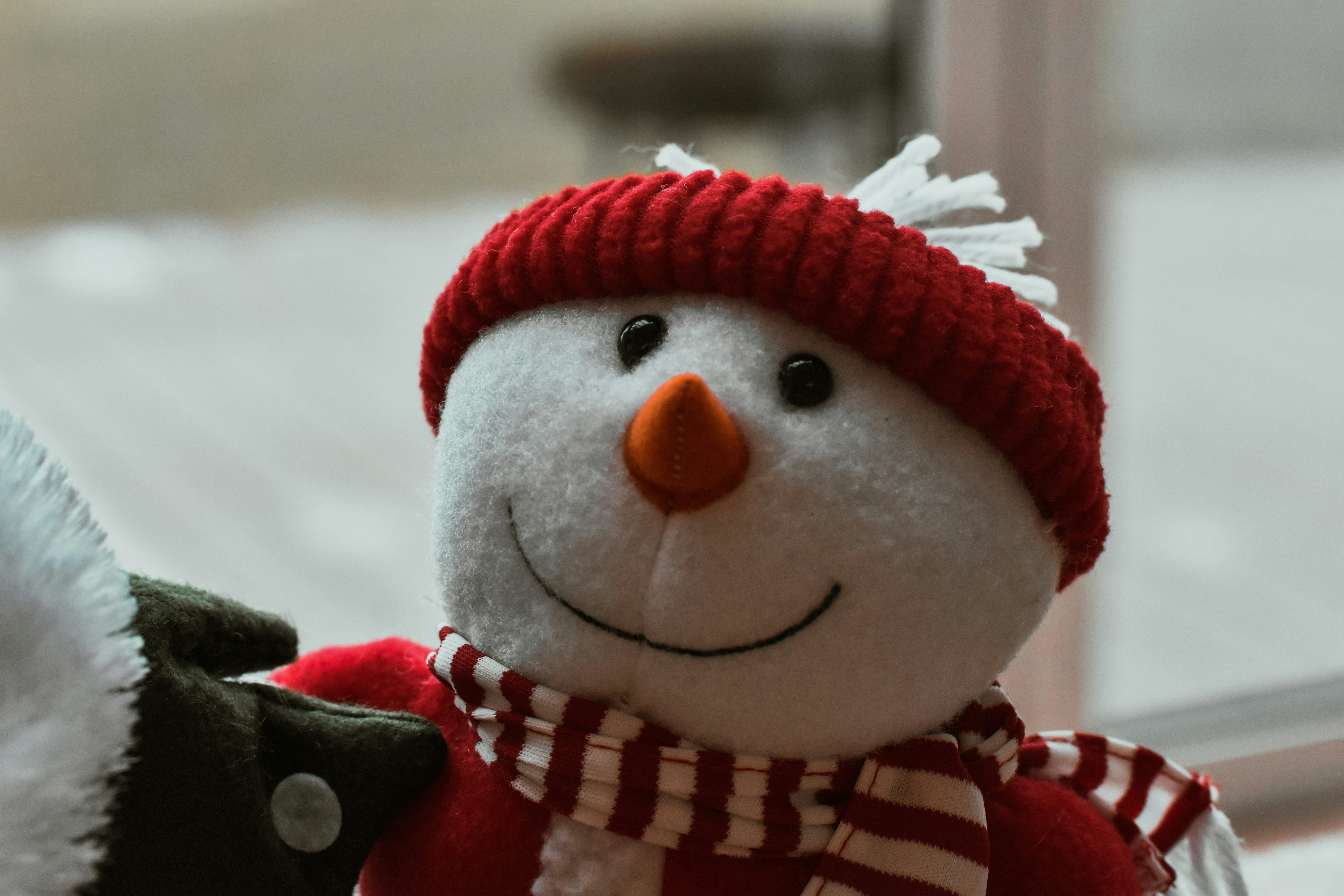 Photo by elliottmason