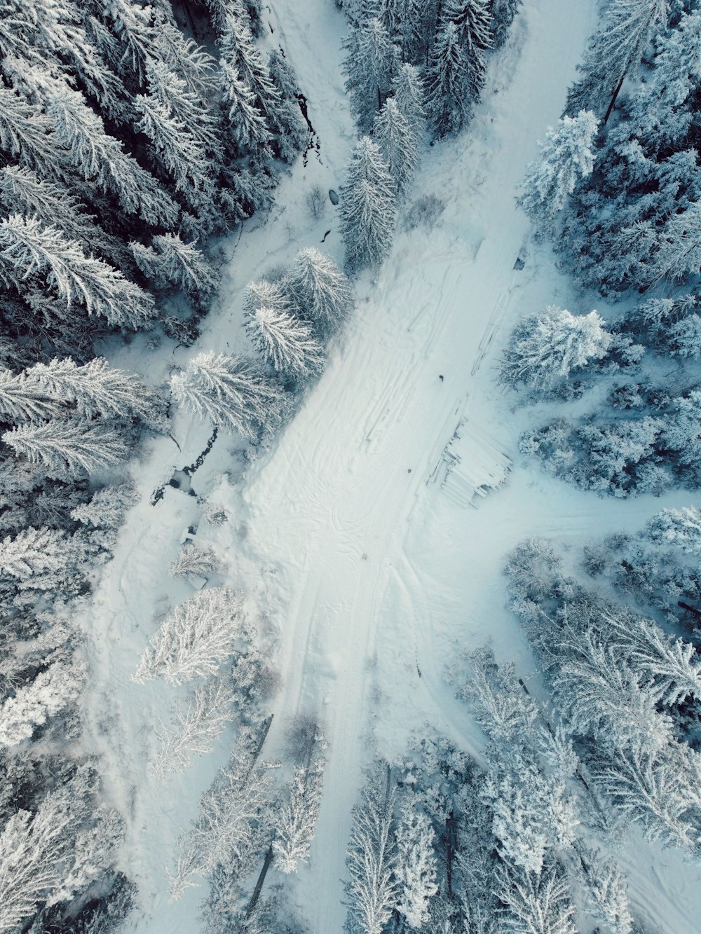 an aerial view of a snow covered forest