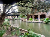 A peaceful river scene with lush greenery and a tree arching over the water. Along the right side, a brick building with arched windows creates a cozy ambiance. People are visible walking on a pathway near the building. Leafy plants adorn the riverbank, enhancing the natural setting.