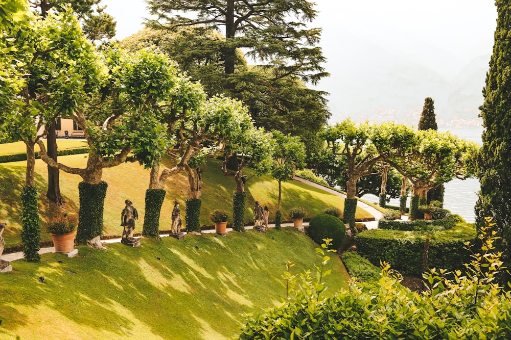 a group of people standing on top of a lush green hillside