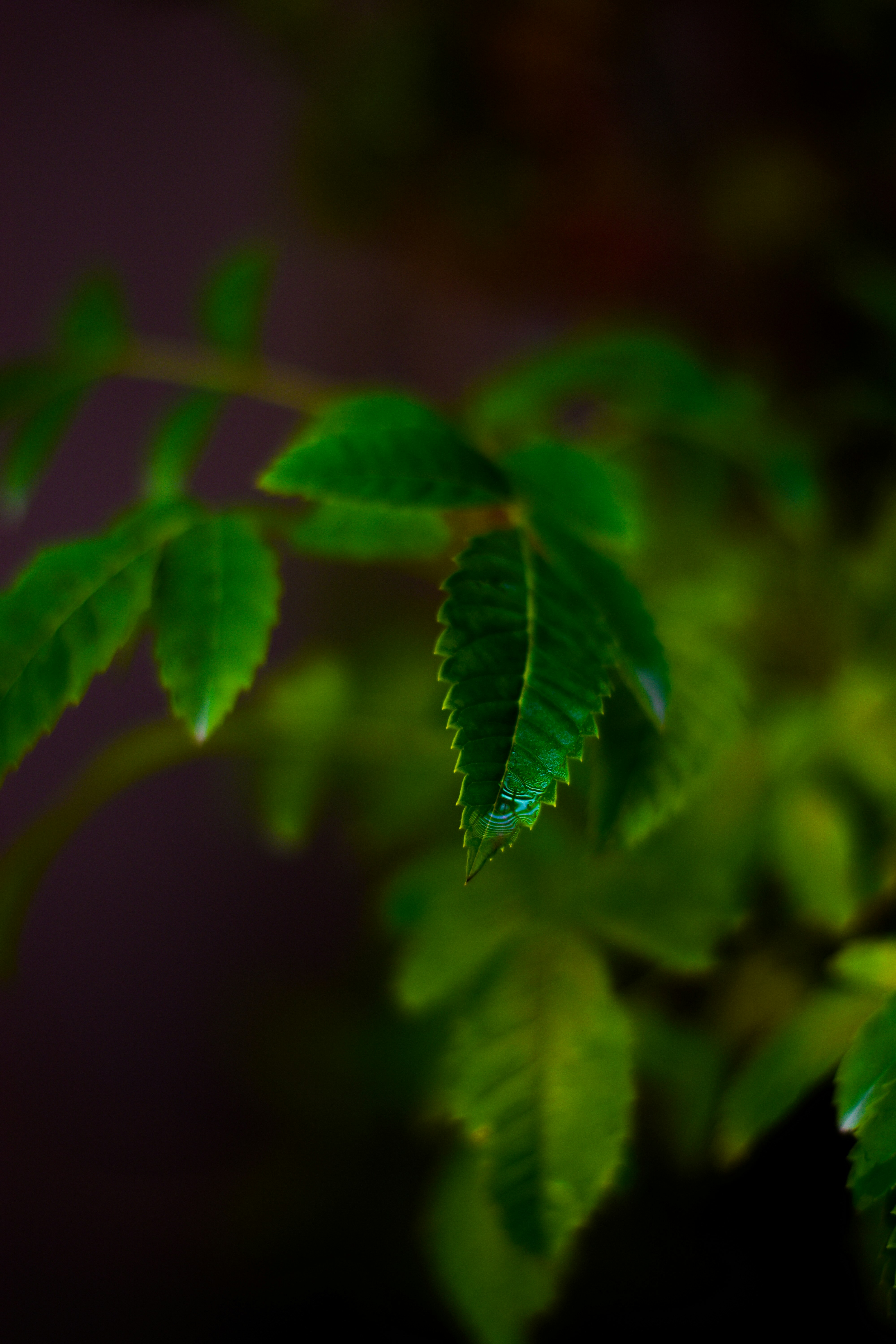 Photo by rtldtu05