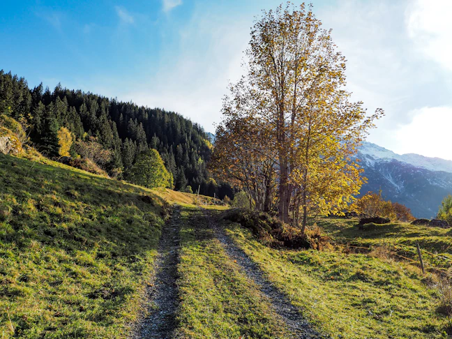 26-Day Western Europe Rail Itinerary: Family Autumn Guide