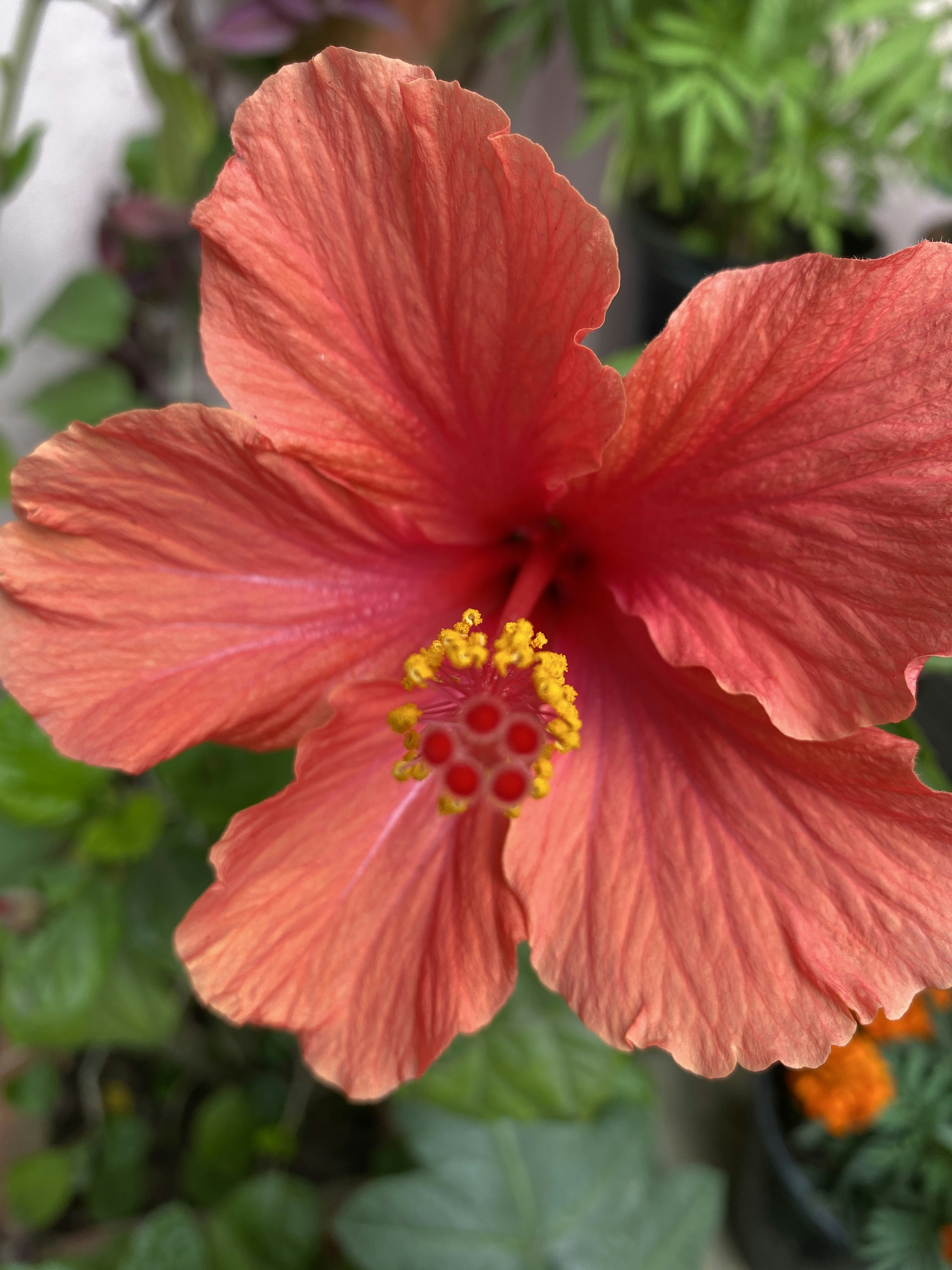 Photo by baljeetsingh16