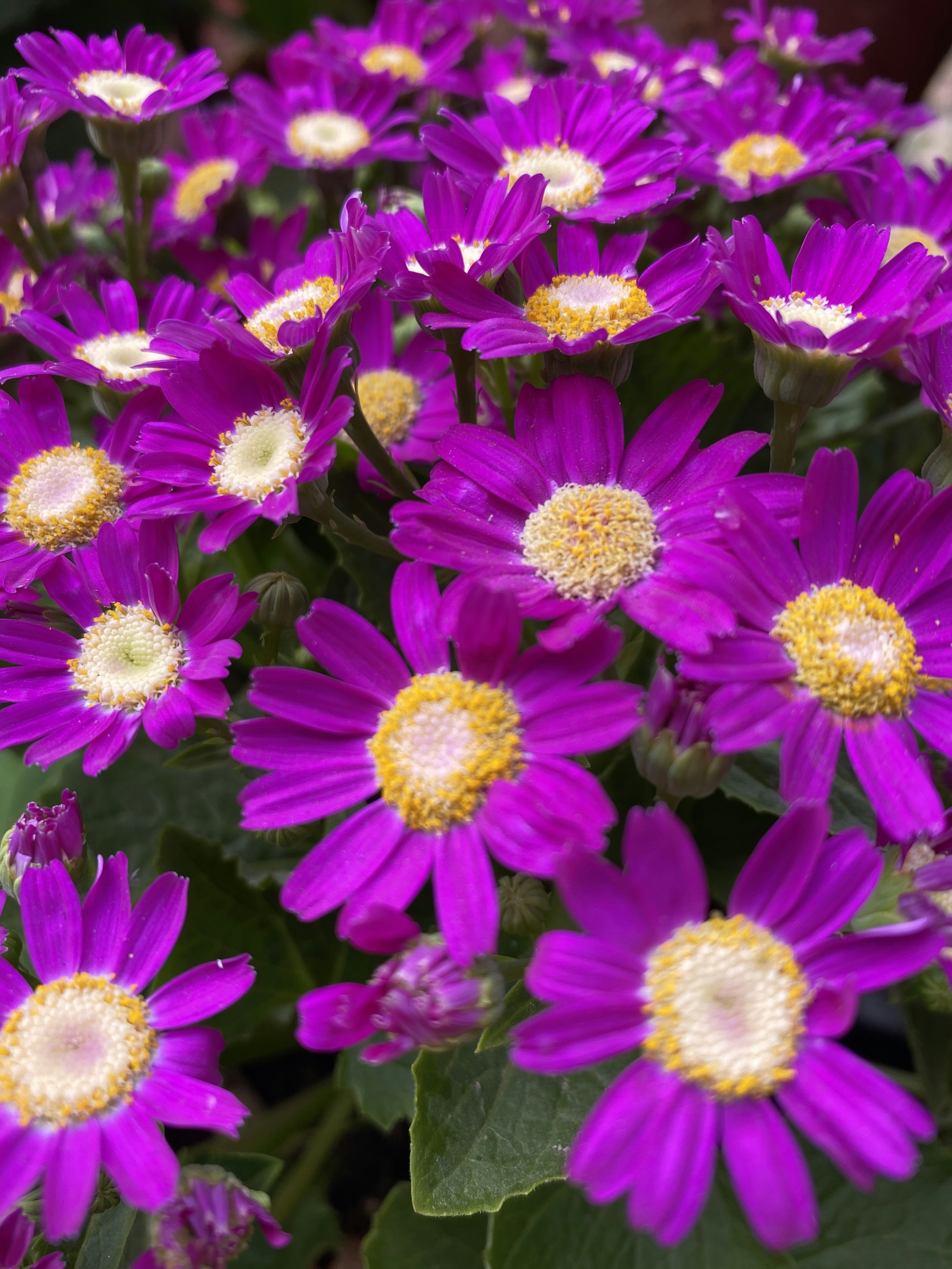 Photo by baljeetsingh16