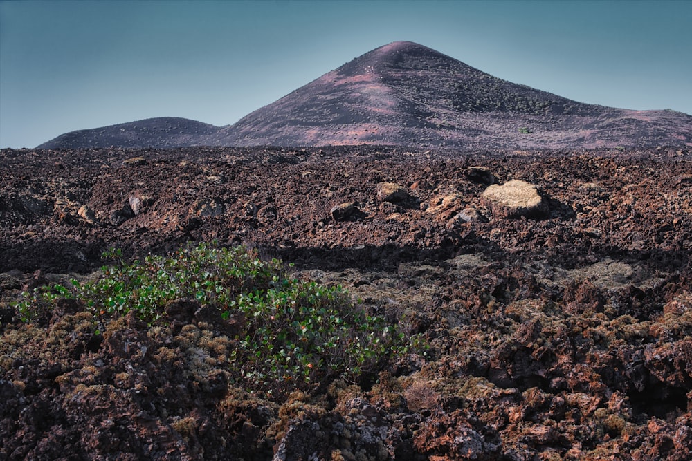 a mountain with a small patch of vegetation in the foreground