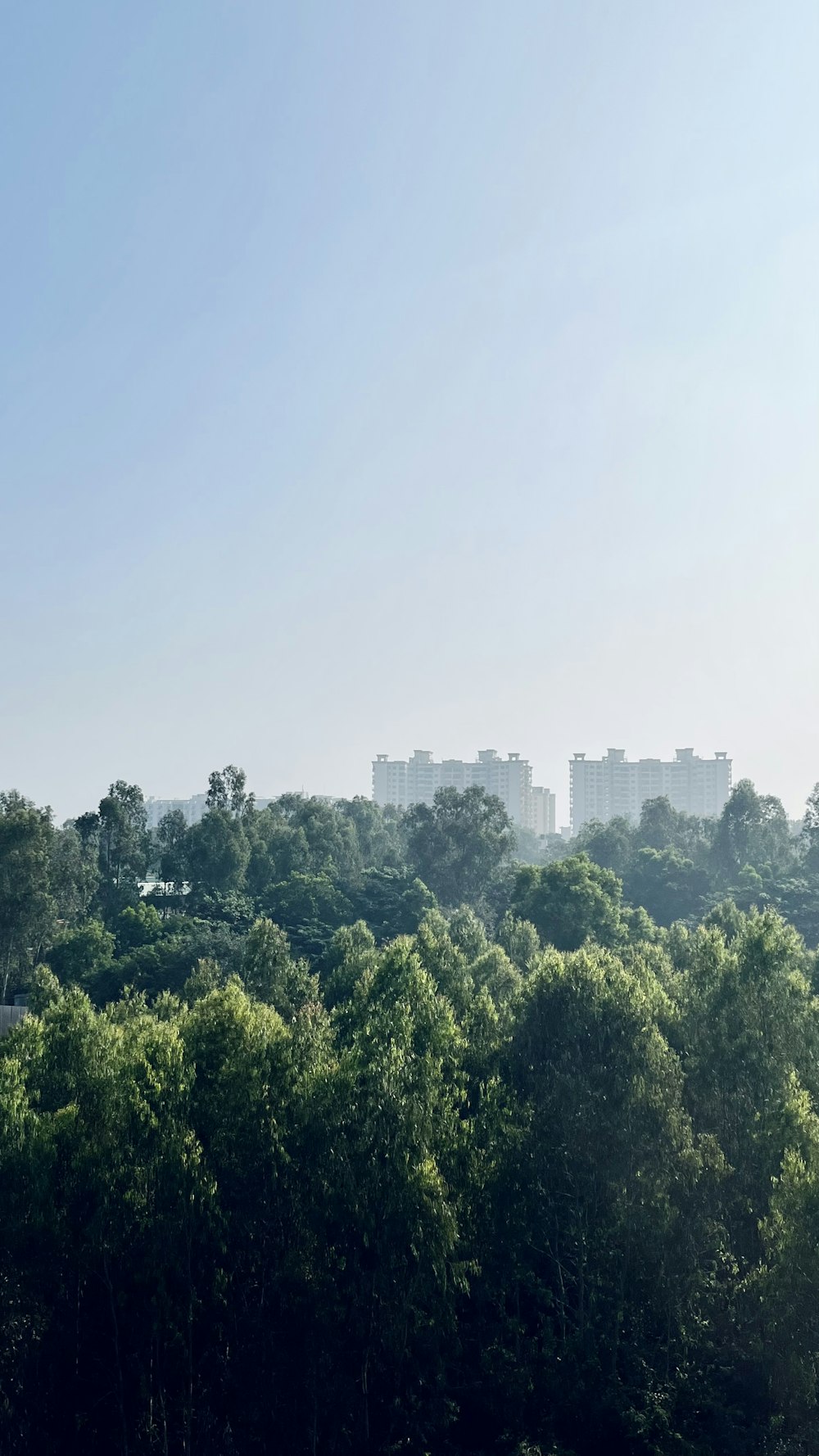 a view of trees and buildings from a distance