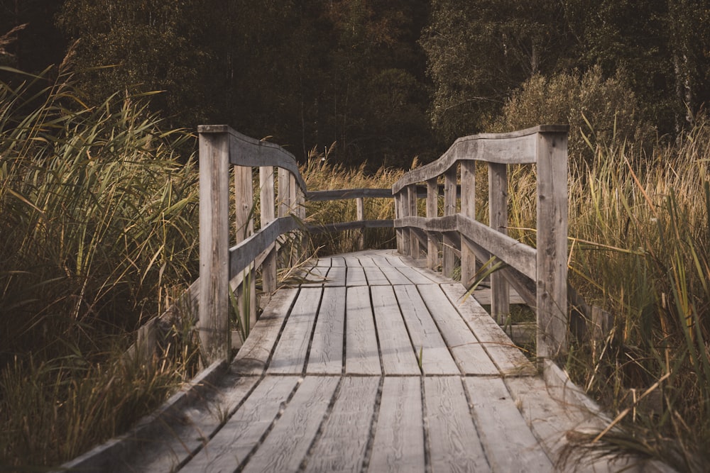 a wooden bridge over a river surrounded by tall grass