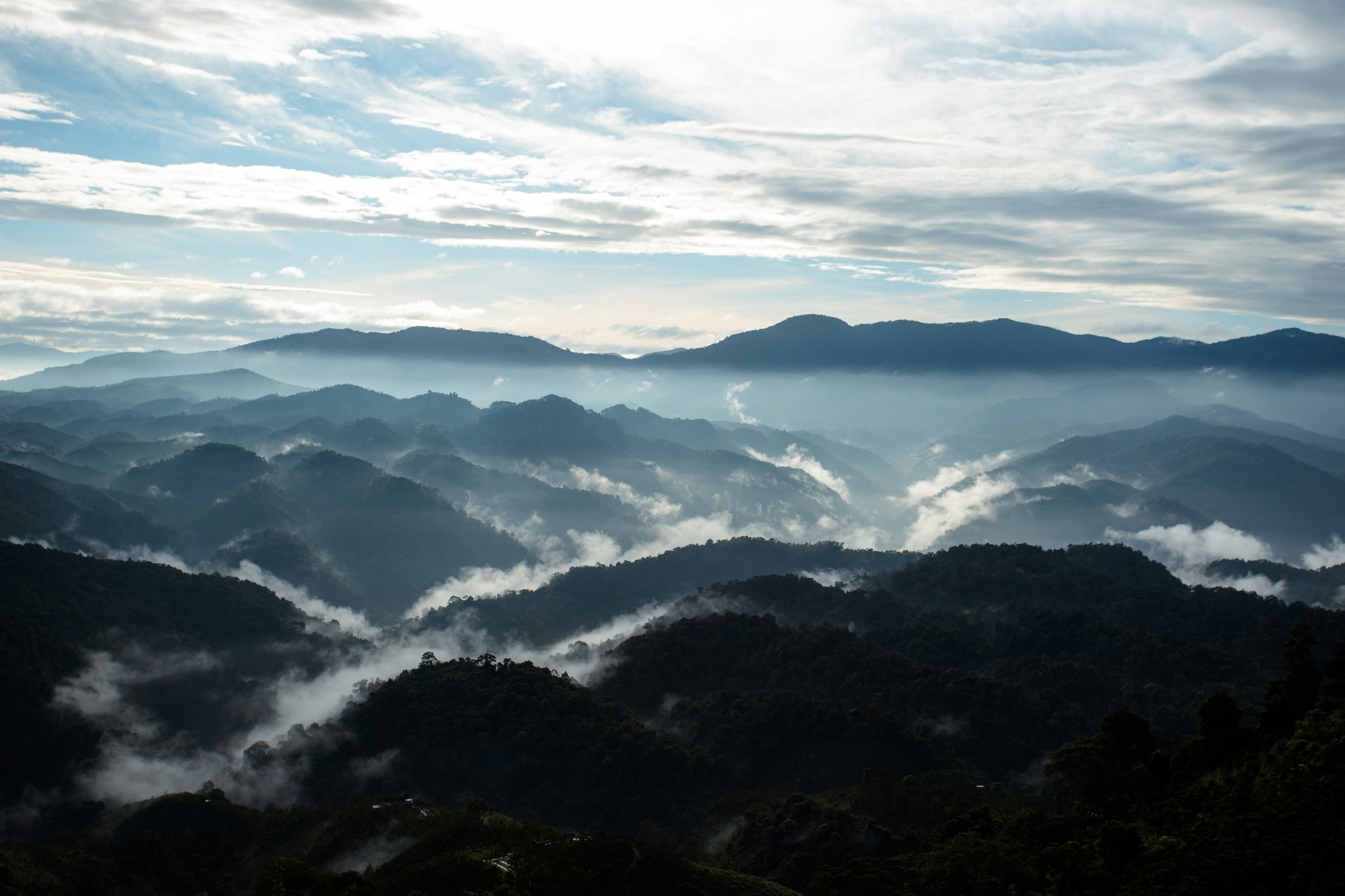 Photo by quangdieu195