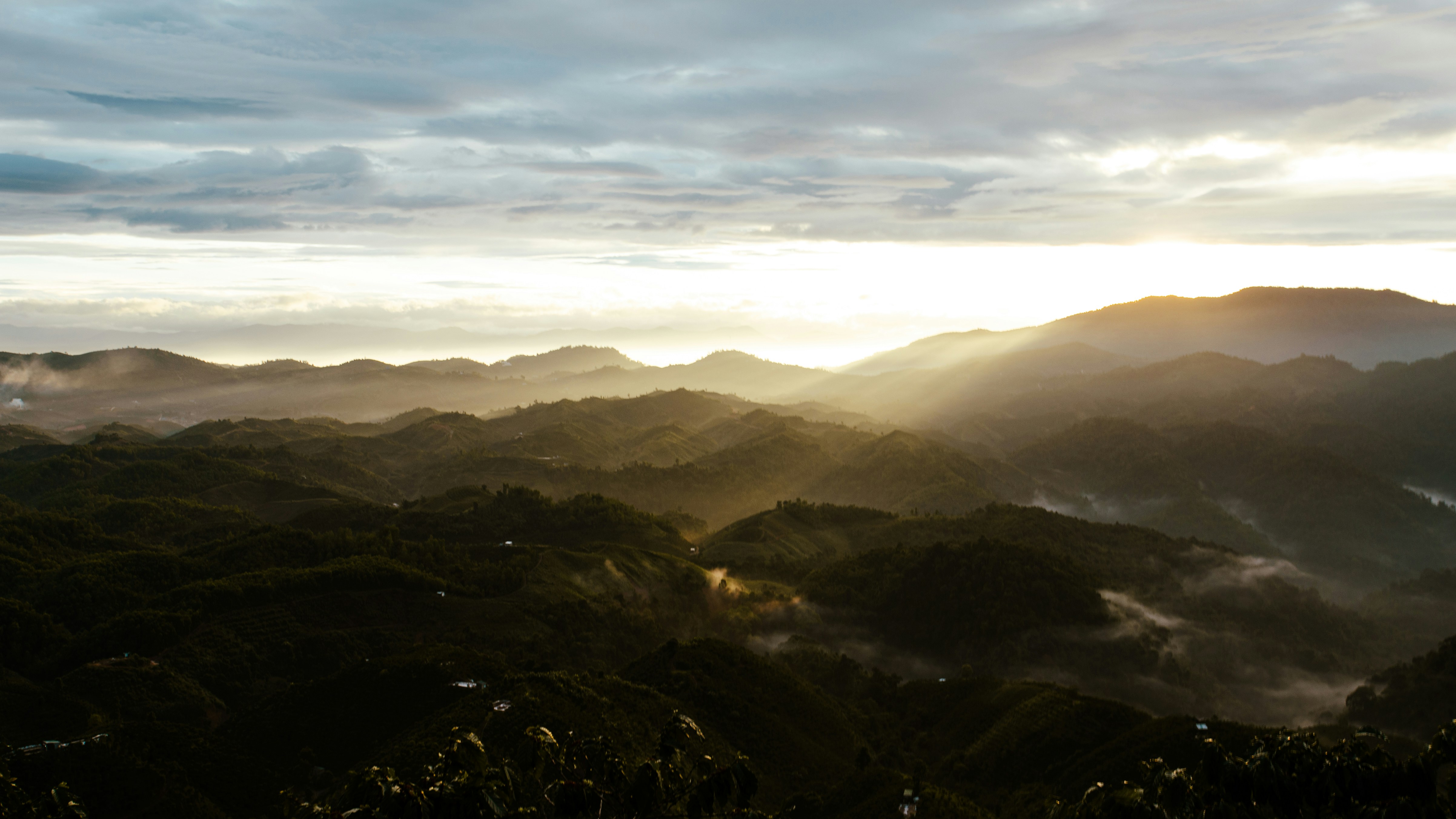 Photo by quangdieu195