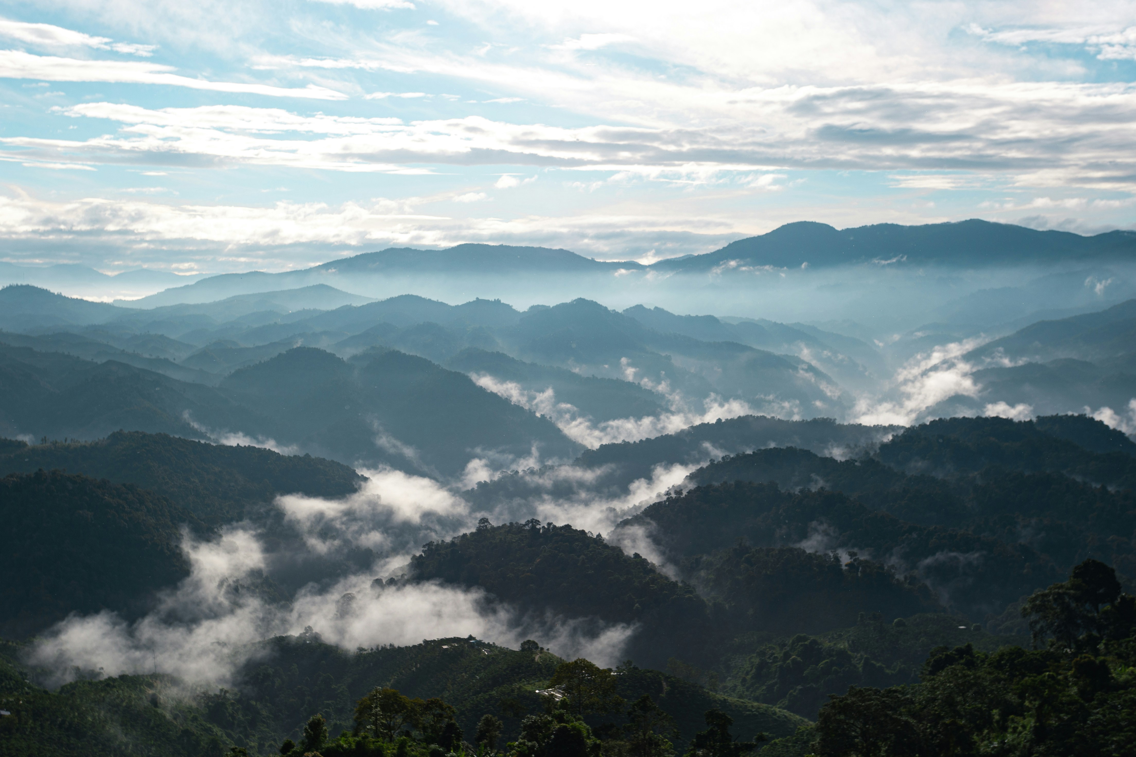 Photo by quangdieu195