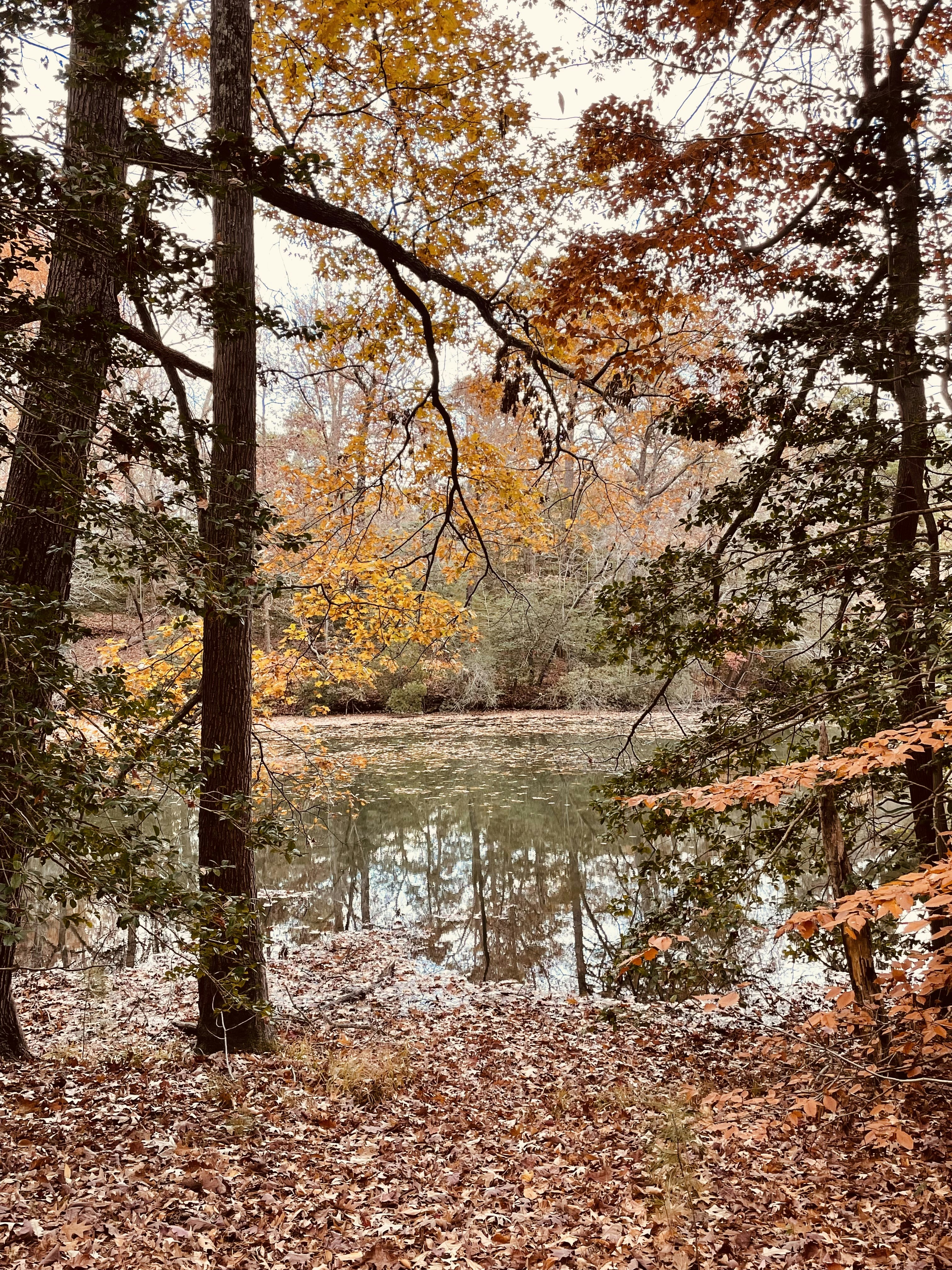 Photo by mckymouse03