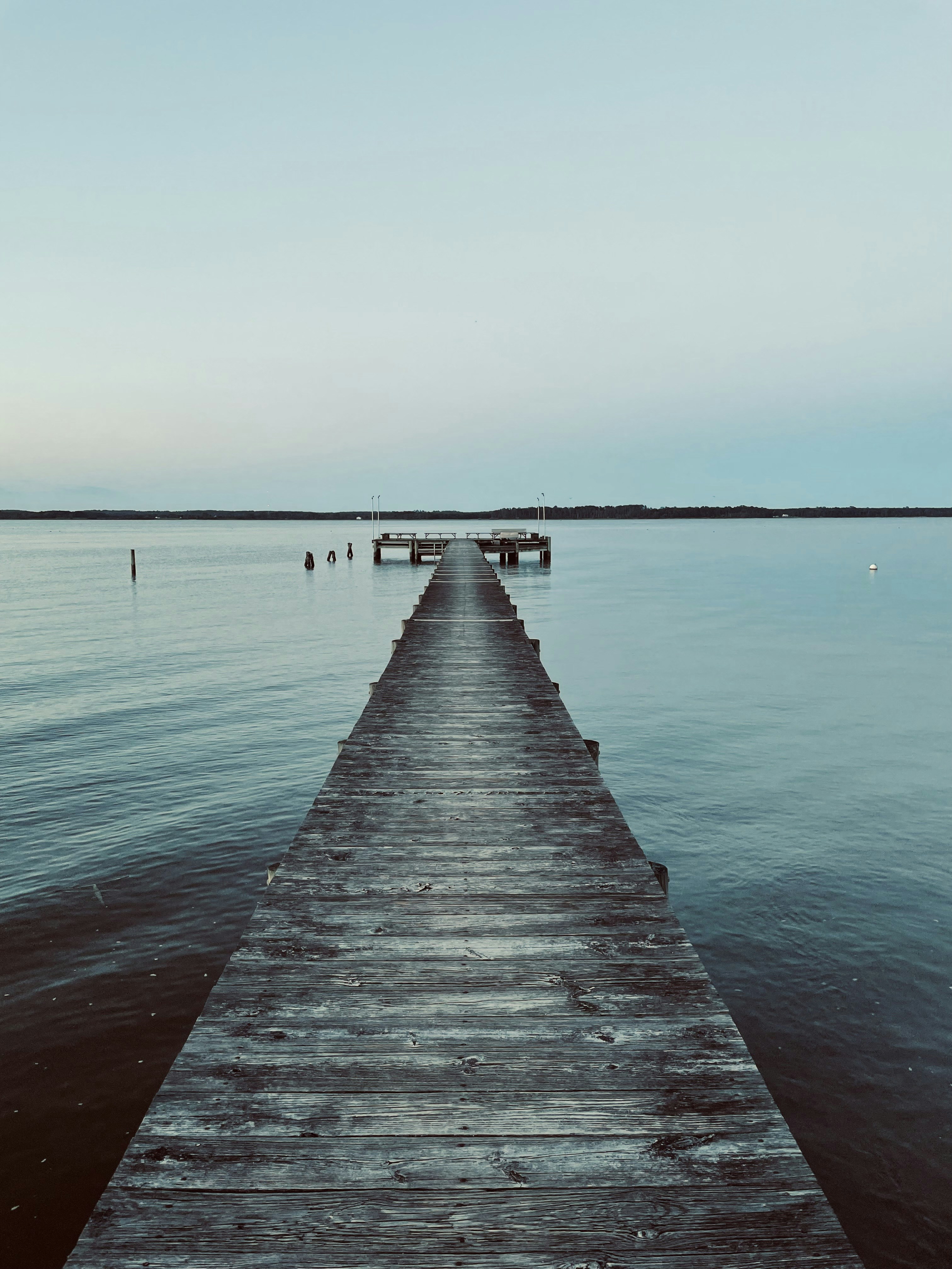 Photo by mckymouse03