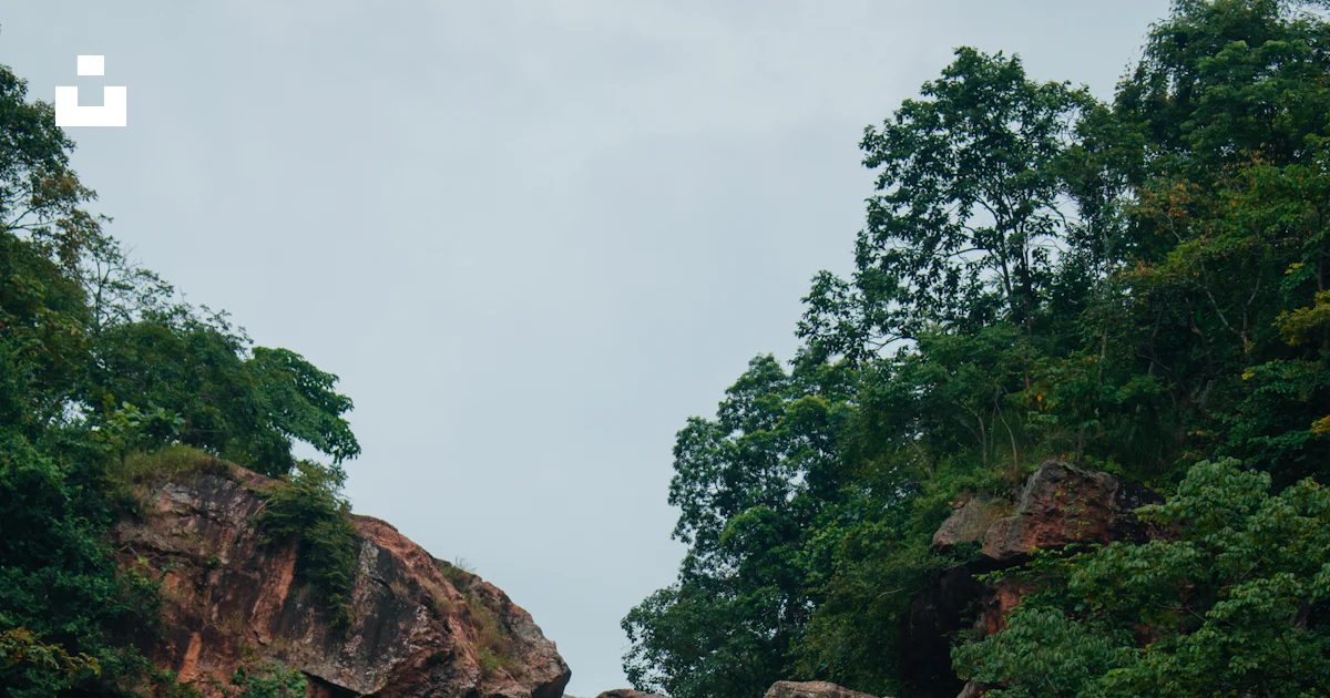 A very tall waterfall in the middle of a forest photo – Free Tiru fall ...