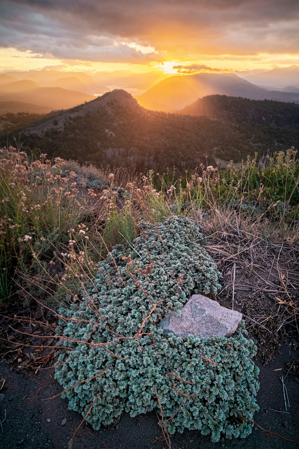 a rock sitting on top of a lush green hillside