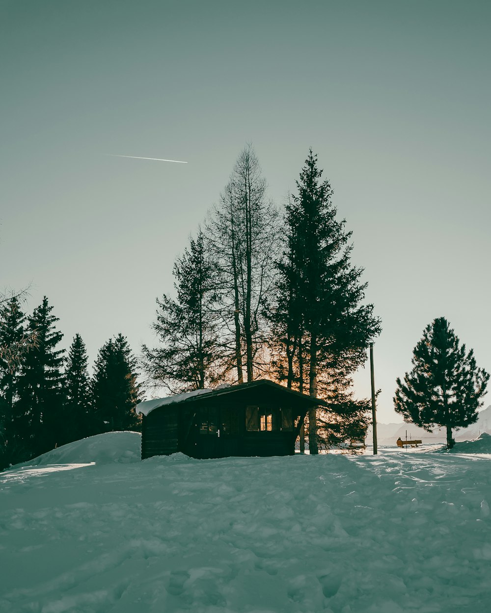 a cabin in the middle of a snowy field