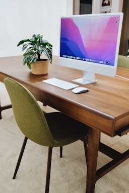 a desk with a computer and a potted plant