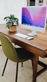 a desk with a computer and a potted plant