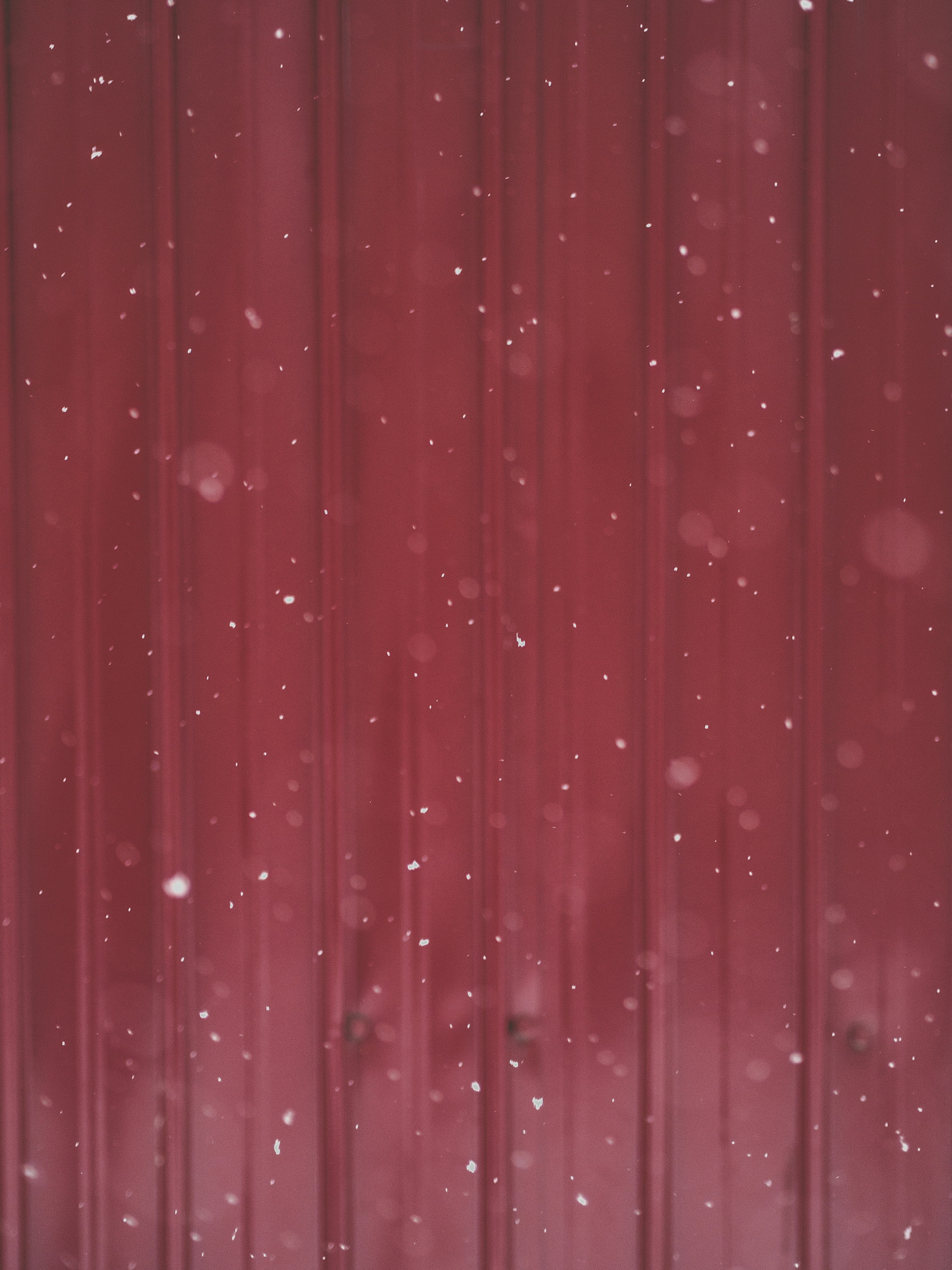 뮤지컬 캐빈 온라인 중계 일정 및 비 오는 오두막 무대 연출 관람 후기 이미지2