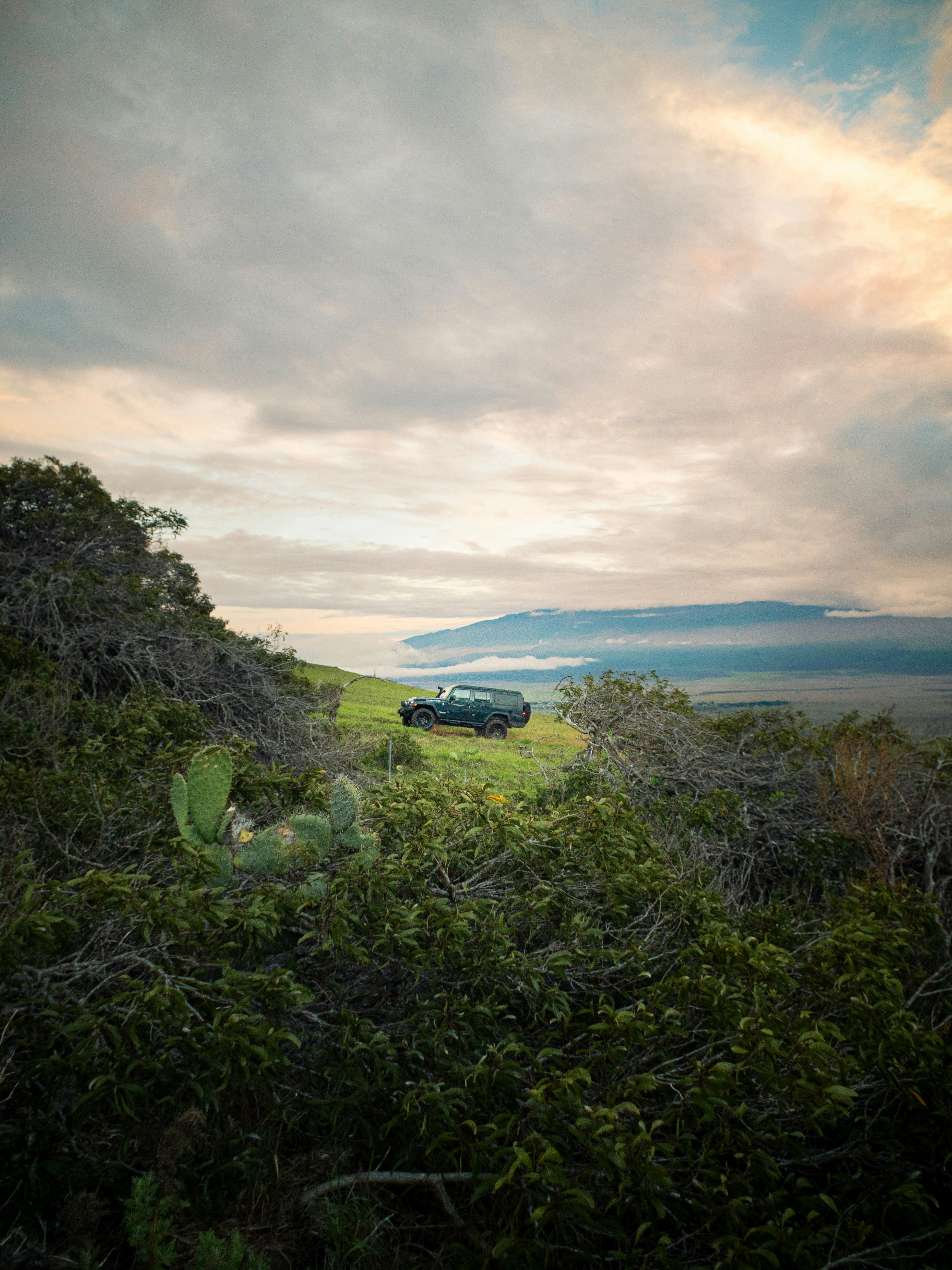 Choose from a curated selection of Hawaii photos. Always free on Unsplash.