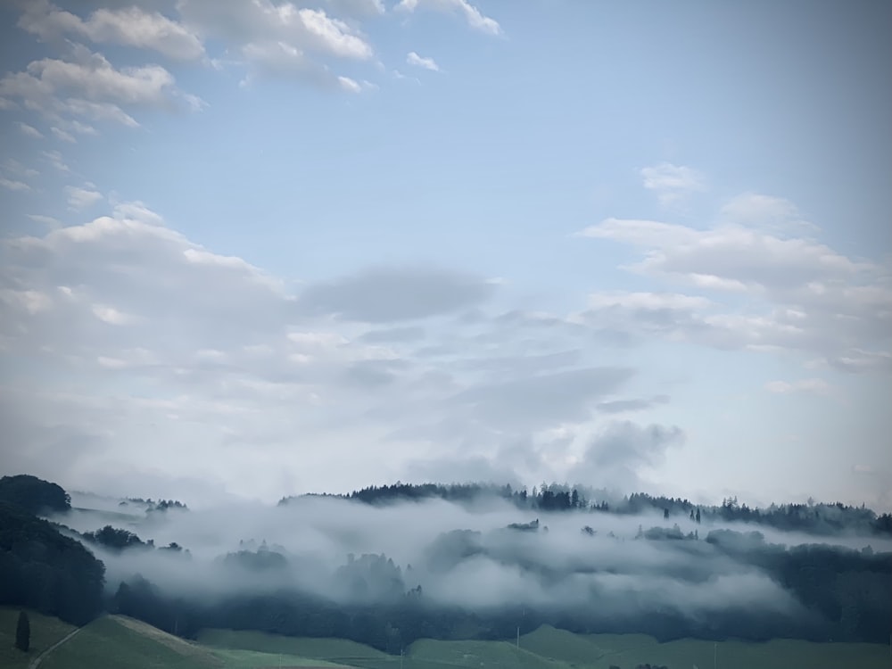 a view of a foggy valley with trees in the distance