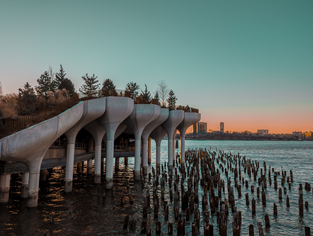 a large body of water with a bunch of poles sticking out of it