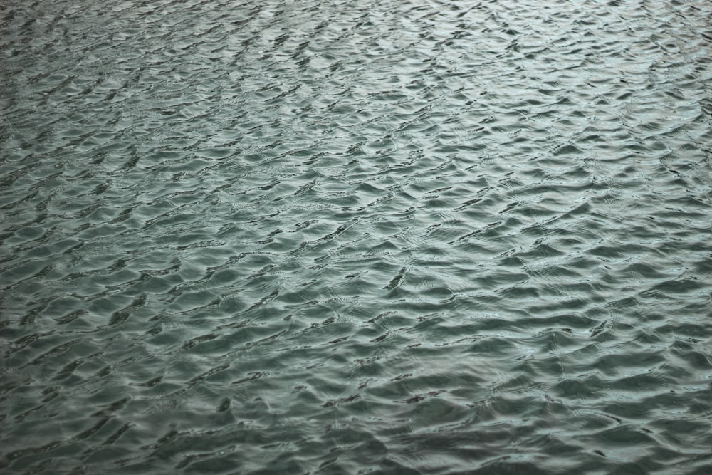 a large body of water with a boat in the distance