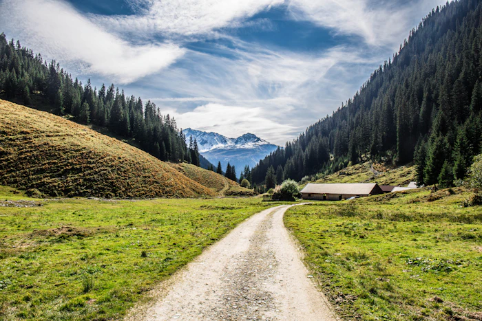 Dirt road through a lush green alpine valley in Austria