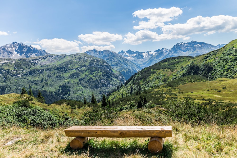 a wooden bench sitting on top of a lush green hillside