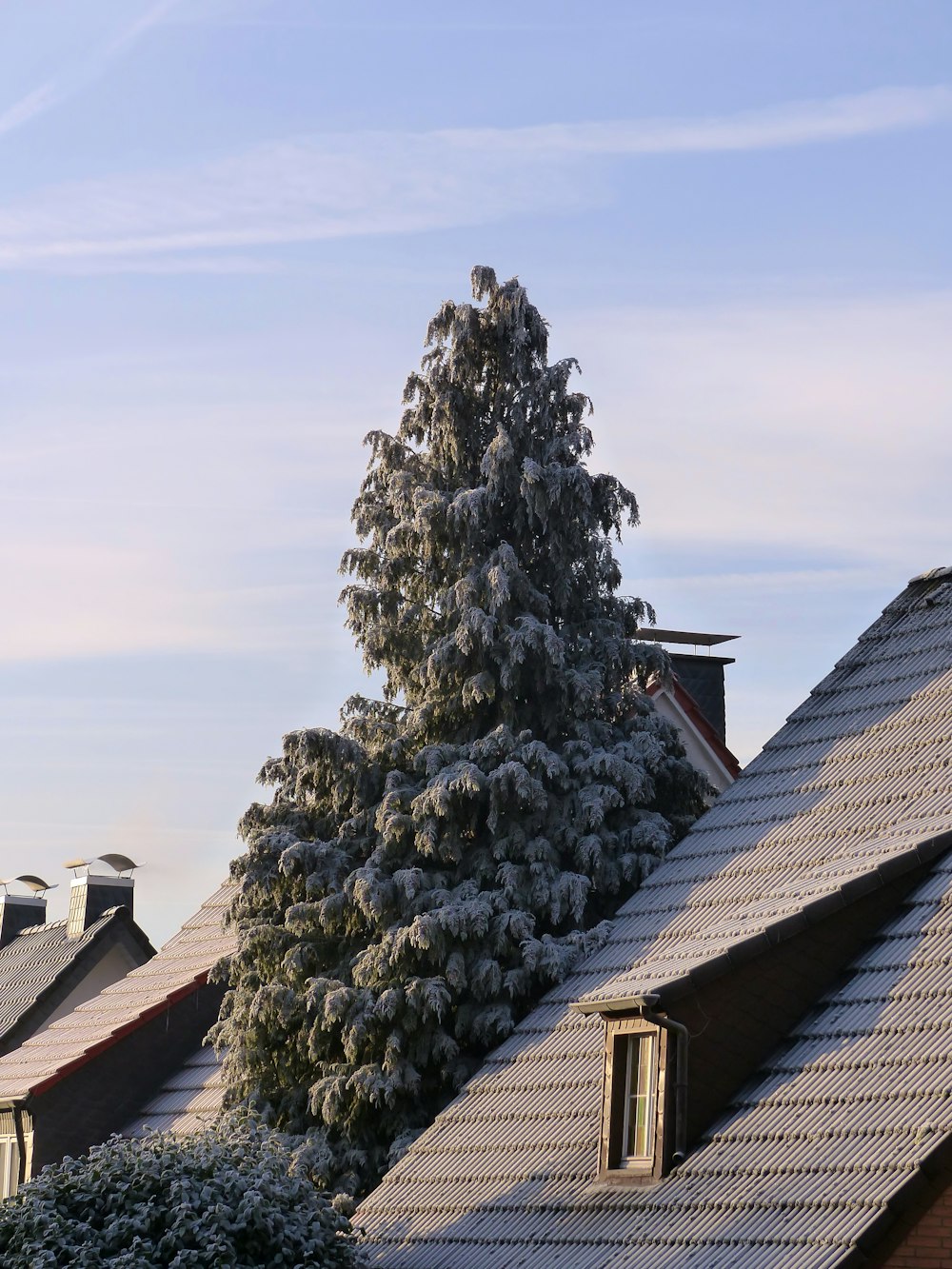 ein schneebedecktes Dach mit einem Baum im Vordergrund