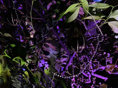 A detailed shot of colorful event decorations with soft natural lighting