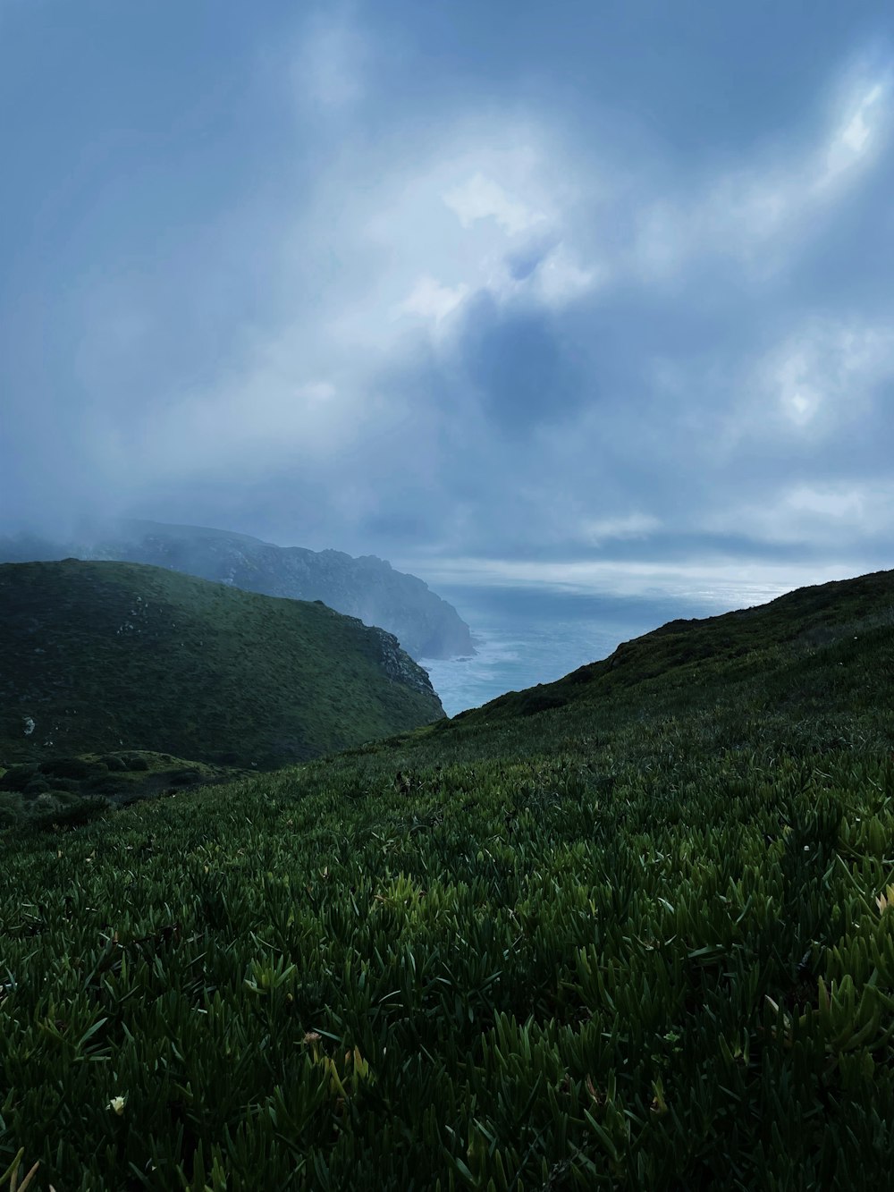 a grassy hill with a body of water in the distance