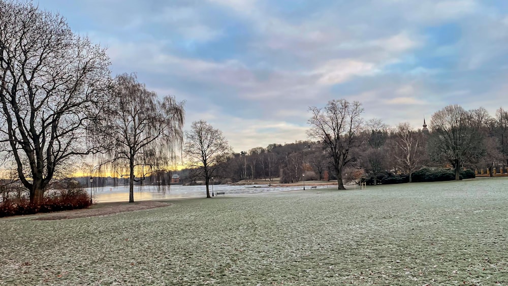 a frosty field with trees and a lake in the background