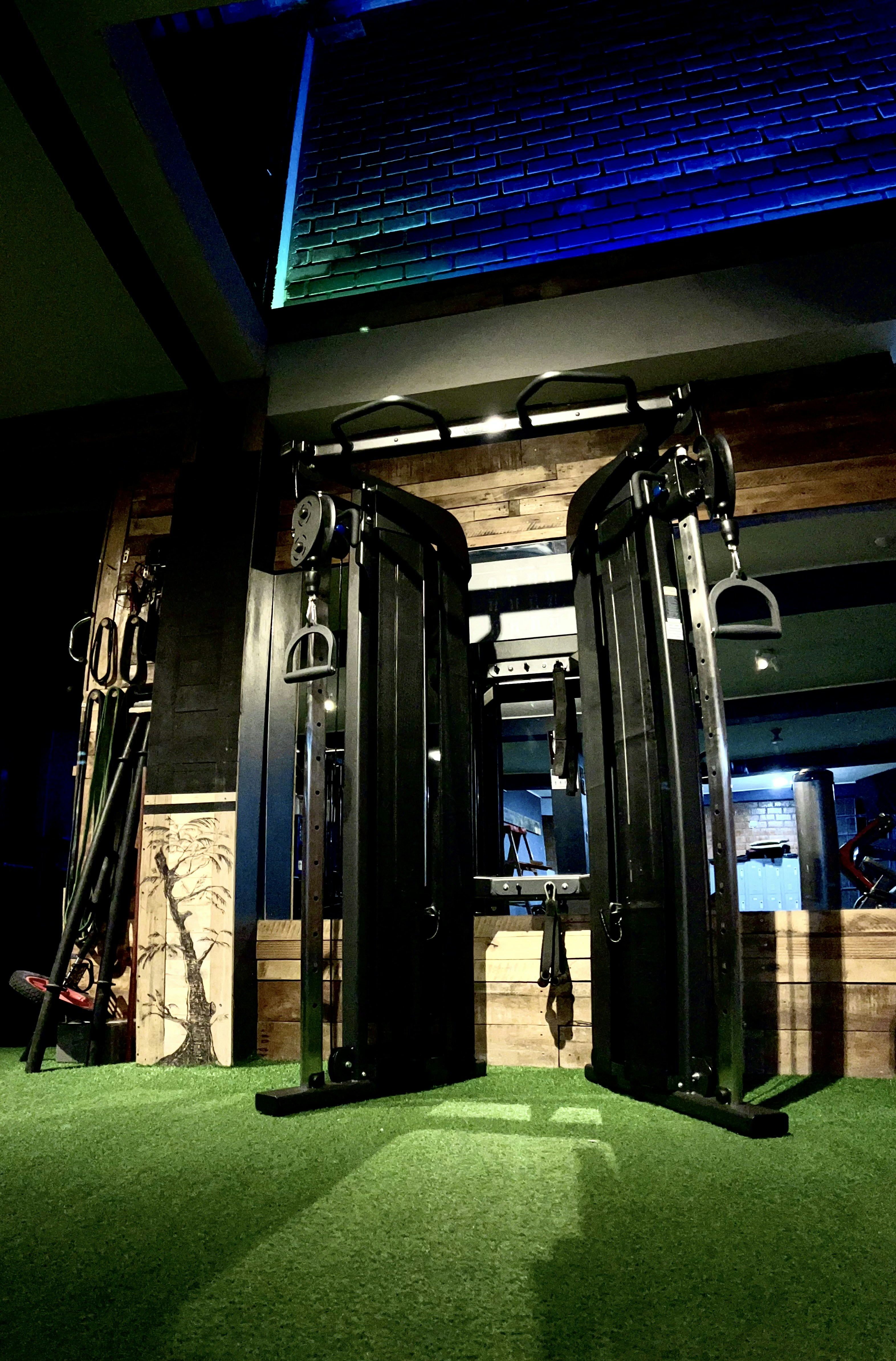 Understanding Multiple Sclerosis: A Comprehensive Guide