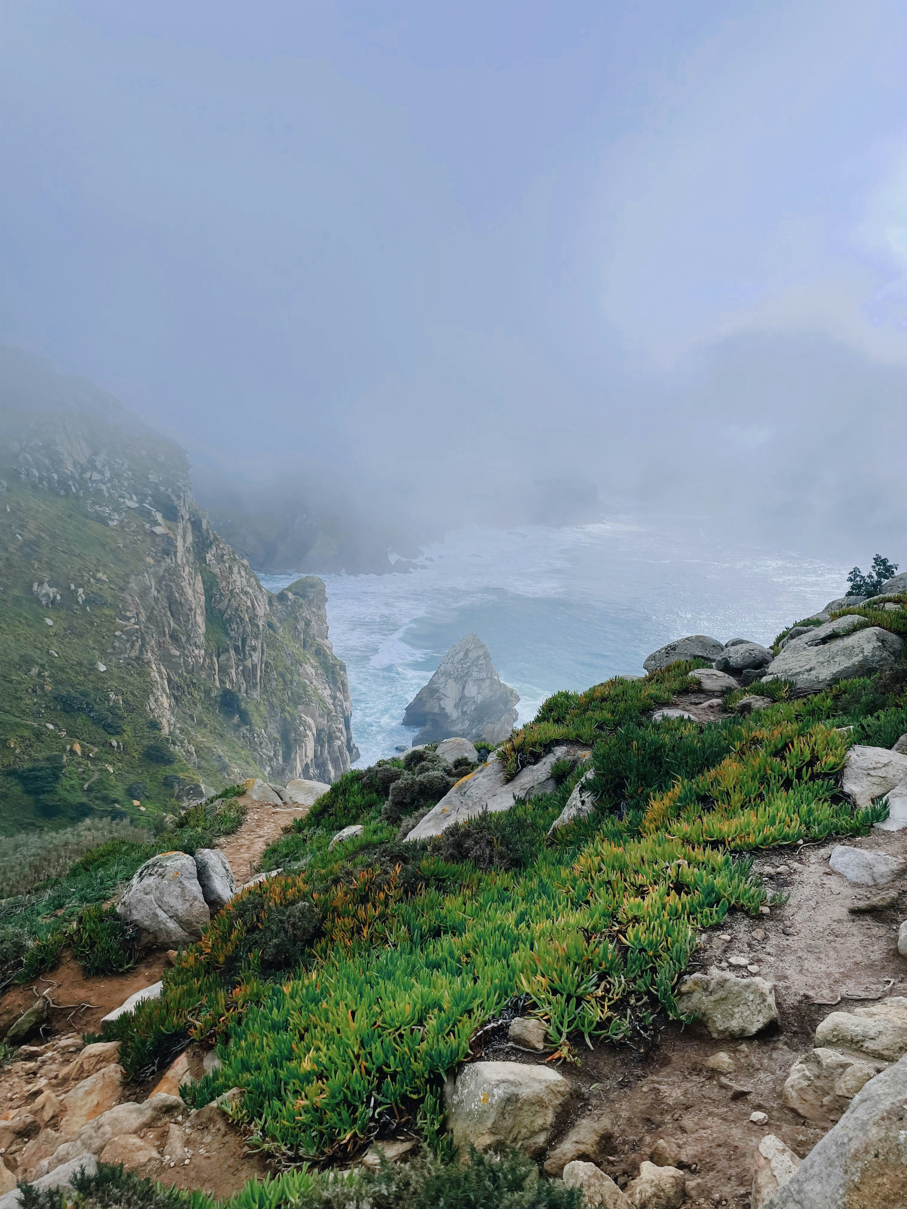 Una vista dell'oceano dalla cima di una montagna