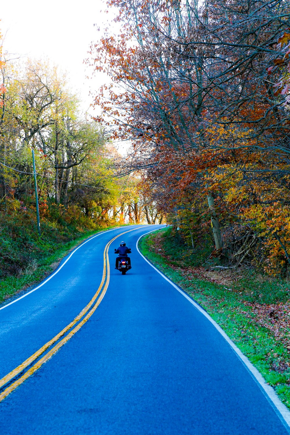 a motorcyclist rides down a winding road in the fall