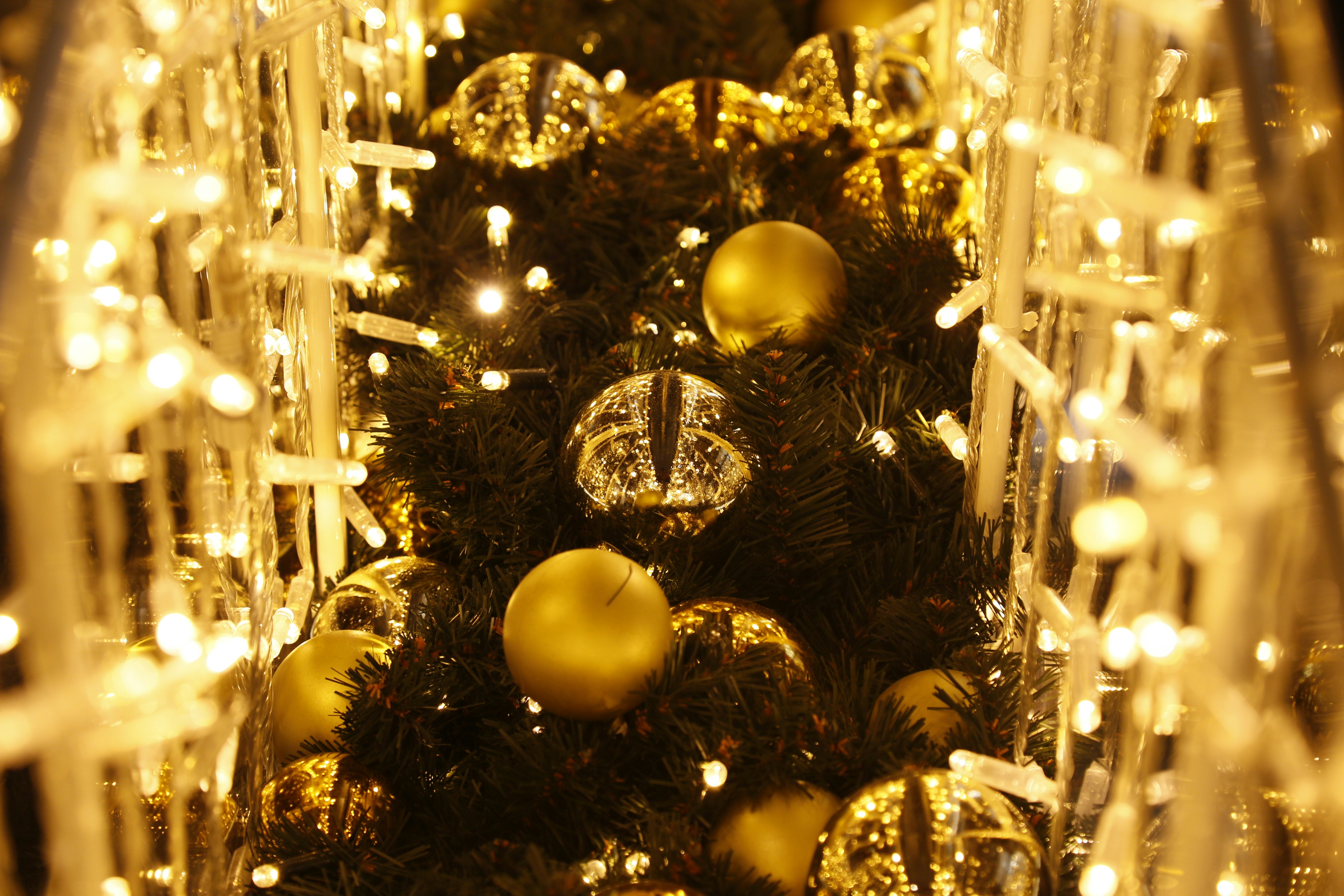 Xmas–New Years Break Week